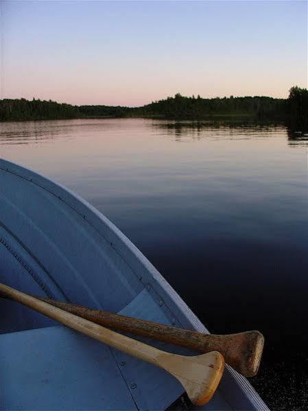 Limerick Lake Lodge And Marina Gilmour Exteriör bild